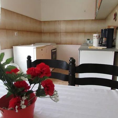 Mirela House With Apartment *
